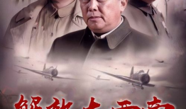 解放大西南电视剧全集,烽火岁月里的英雄传奇
